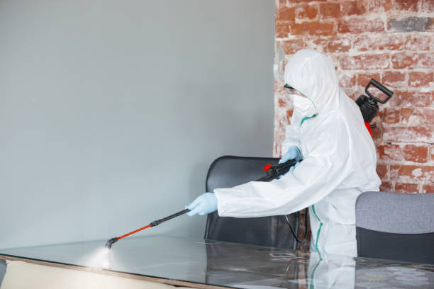 Mold Remediation for Rental Properties in Daytona Beach Shores, FL